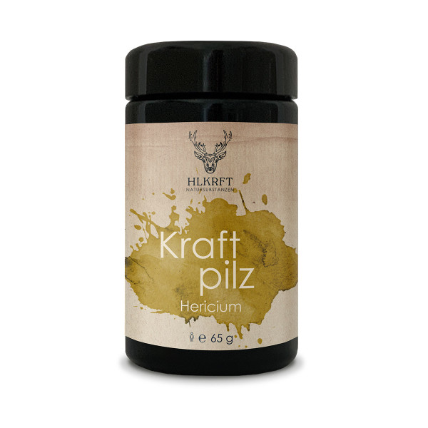 Heilkraft Kraftpilz Hericium