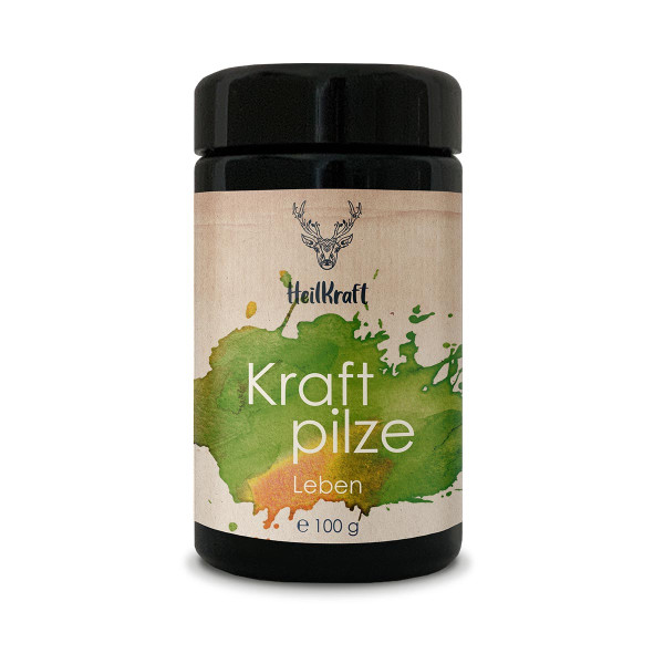 Kraftpilze Leben - Vitalpilz Synergetikum