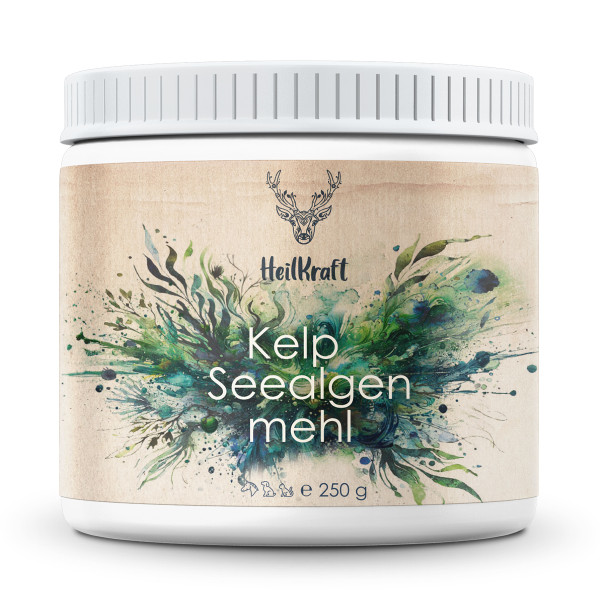 Heilkraft Kelp Seealgenmehl 250g