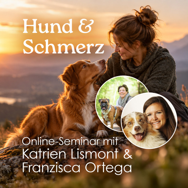 2-teiliges Online-Seminar „Hund & Schmerz“ – Schmerzen erkennen, verstehen & unterstützen