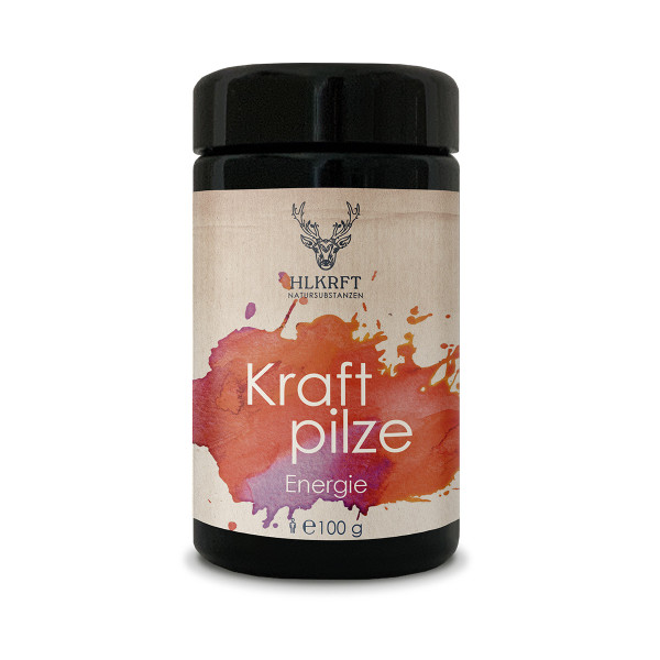 Kraftpilze Energie - 100g