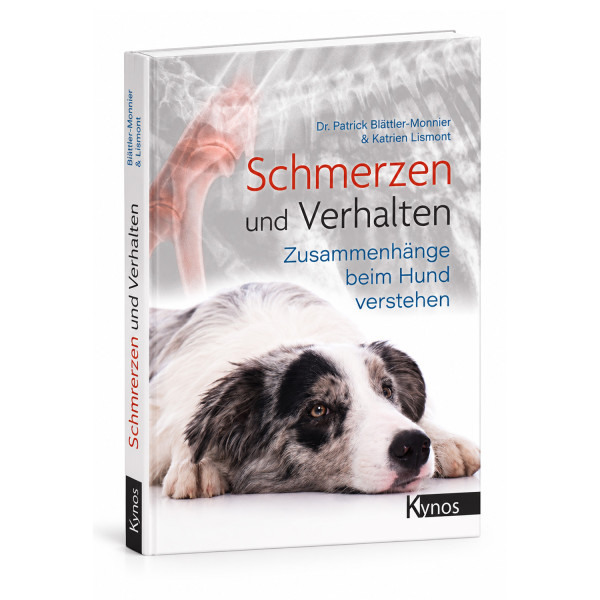 Schmerzen und Verhalten - Zusammenhänge beim Hund verstehen