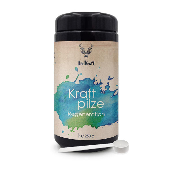 Kraftpilze Regeneration - 250g